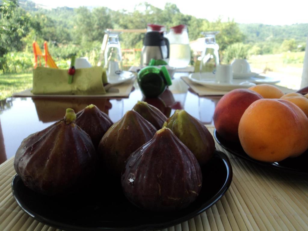 B&B Casa Vacanza Verzellino San Gregorio Magno Bagian luar foto